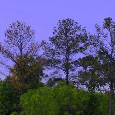 亚星娱乐网手机app下载