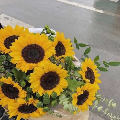 火狐体育APP下载