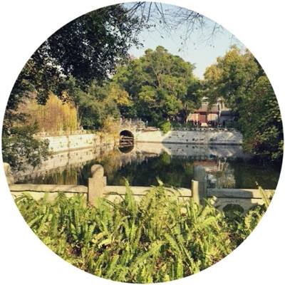 yaboapp手机app下载